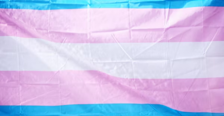 The Transgender Agenda image