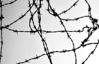 Abused and Abuser image