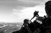 Living Dangerously image