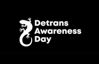 Detrans Awareness Day image