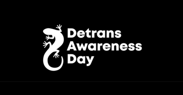 Detrans Awareness Day image