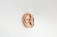 Ears to Hear image