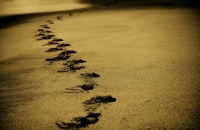 A Prayer for Ukraine image