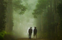 Sex Should Be Faithful image