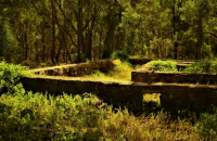 A Sure Foundation image