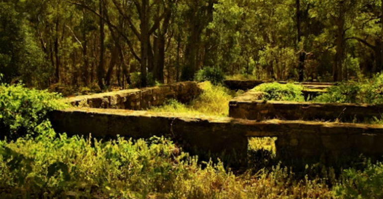 A Sure Foundation image