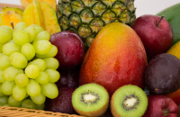 Sex Should Be Fruitful image