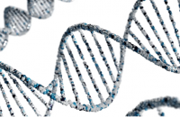 In the brave new world, ‘true’ is just another word for ‘feasible’ image