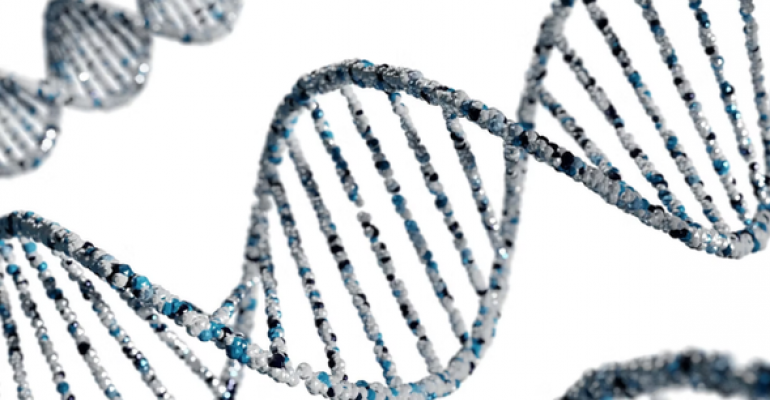 Genetic Progress? image