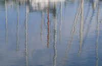 An Englishman in La Manche image