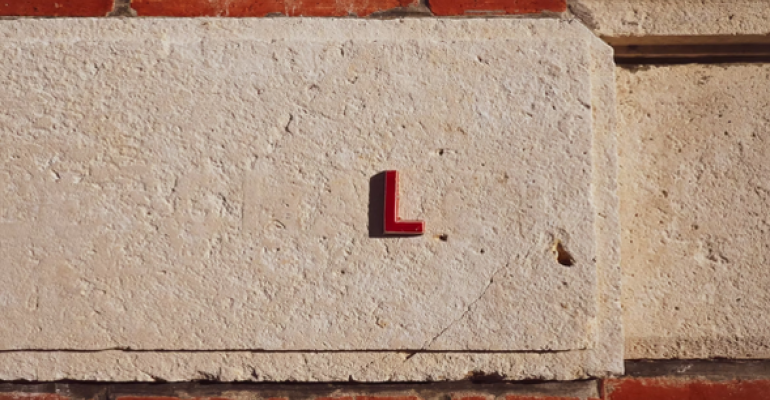 Flower-Free Five Point Calvinism image