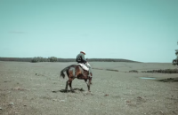 War & Peace, Part 1 image