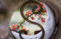 The Three “S’s” image