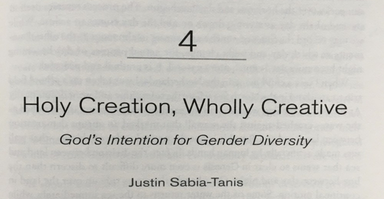 Sabia-Tanis: Holy Creation, Wholly Creative - A Response image