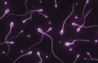 The Rise of the Eunuch image