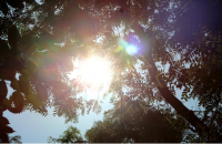 It’s Hot. Get Over It. image