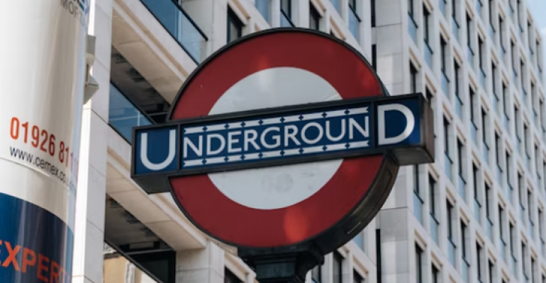 Progressivism’s Peak Lunacy image