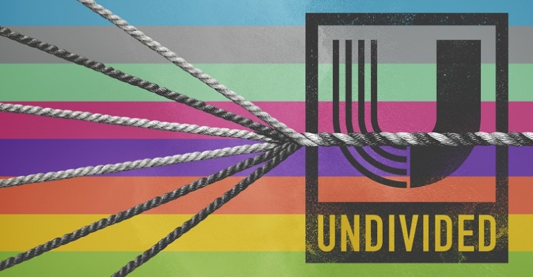 Undivided: Race, Grace and Galatians image