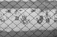 Victims of the Narrative image