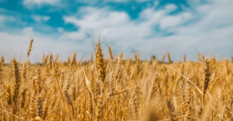 Berry’s Vision image