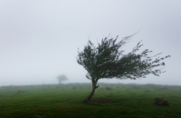 Believe Jesus: Pastor Jesus image