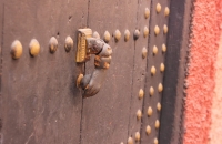 Knock, knock, knocking image
