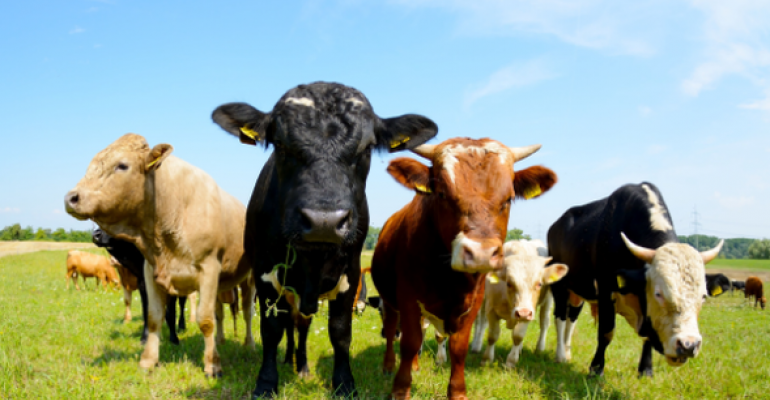 The Ultimate Injunction image