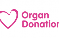 Over My Dead Body image