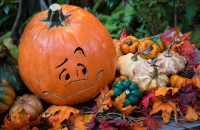Halloween: Too Harrowing to Handle? image