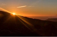 Pastoral Pressures image