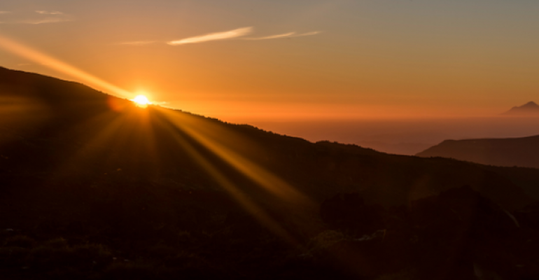 Pastoral Pressures image